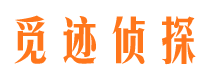 图们市调查公司